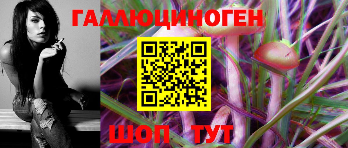 Псилоцибиновые грибы мицелий  Вход с VPN  купить наркотик  Можга 