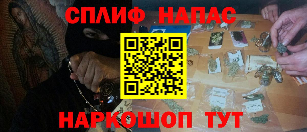 Конопля конопля Можга